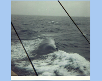 1968 04 South China Sea (3).jpg